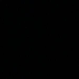 Meet your Posher, Nina